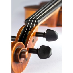 Paesold Violin PA806-GW "Green World"-5